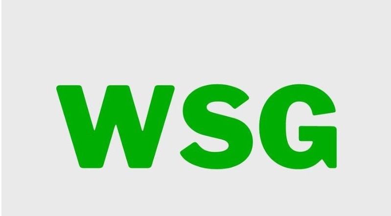 Deciphering Internet Slang: What Does "Wsg" Mean?